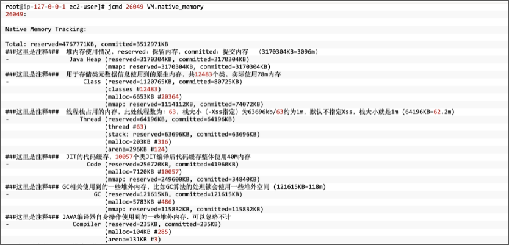 图1.4 NAT打印内存占用信息